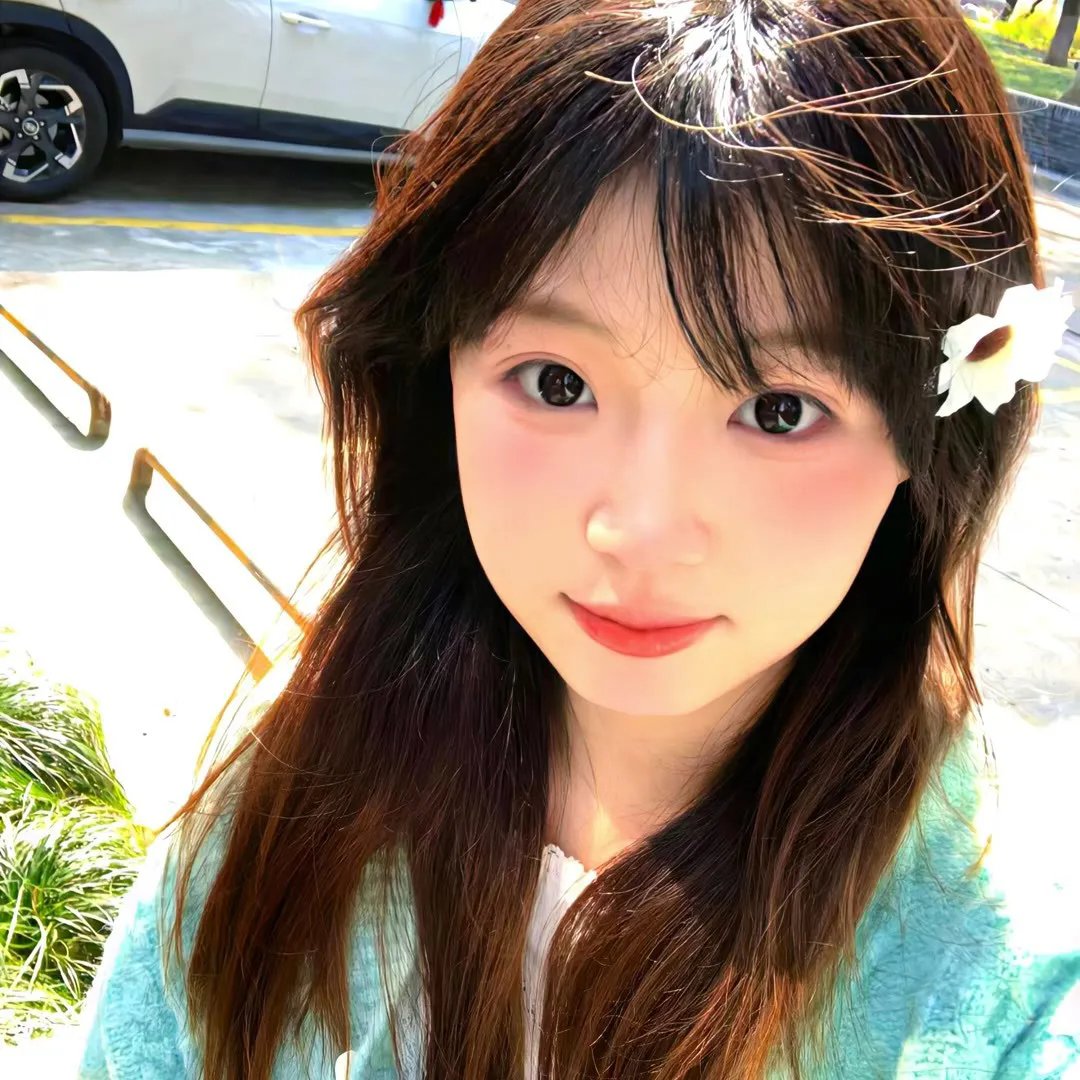 相思树
